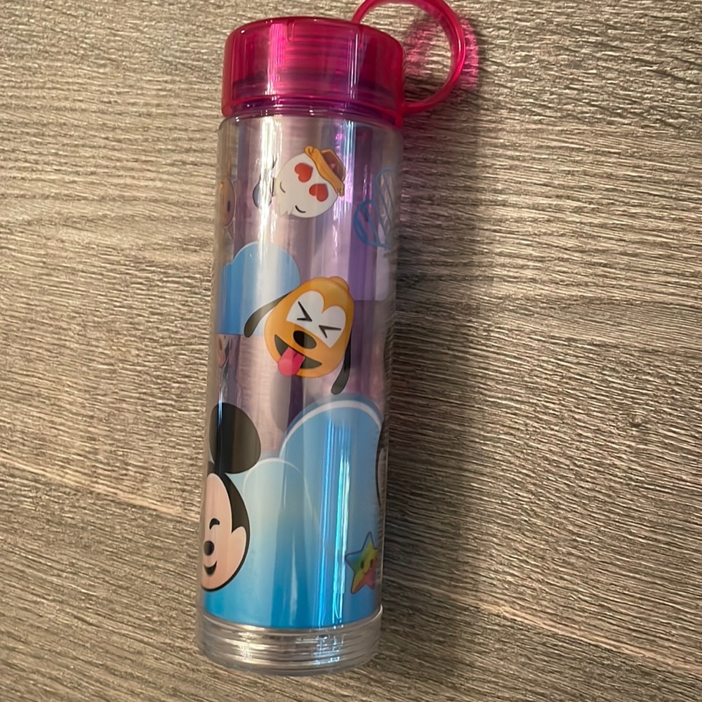 Disney water bottle